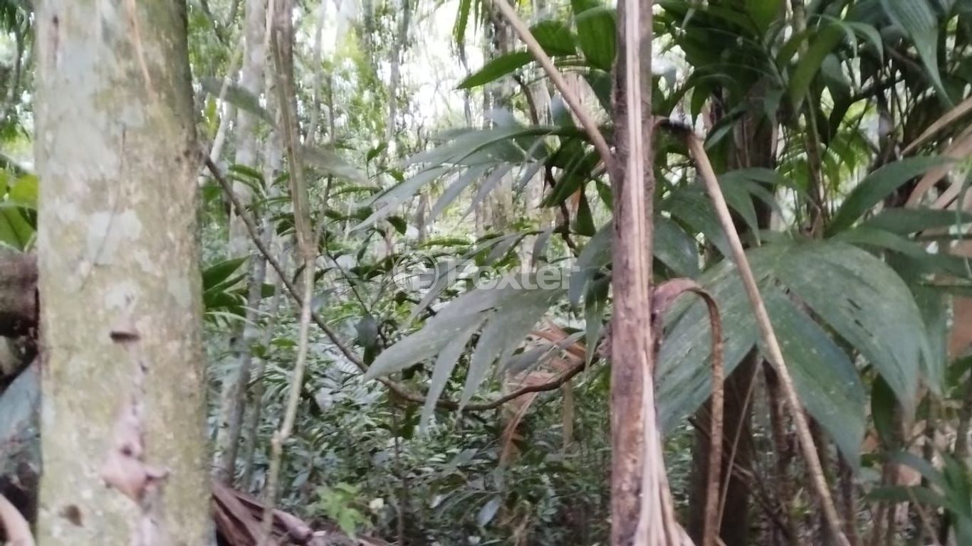 Imagem do imóvel 241551