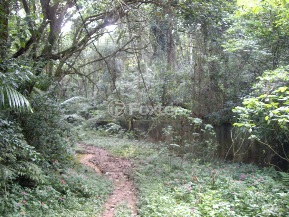 Imagem do imóvel 919344