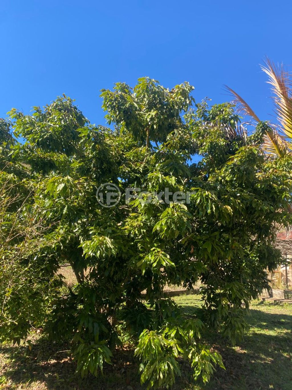 Imagem do imóvel 948439