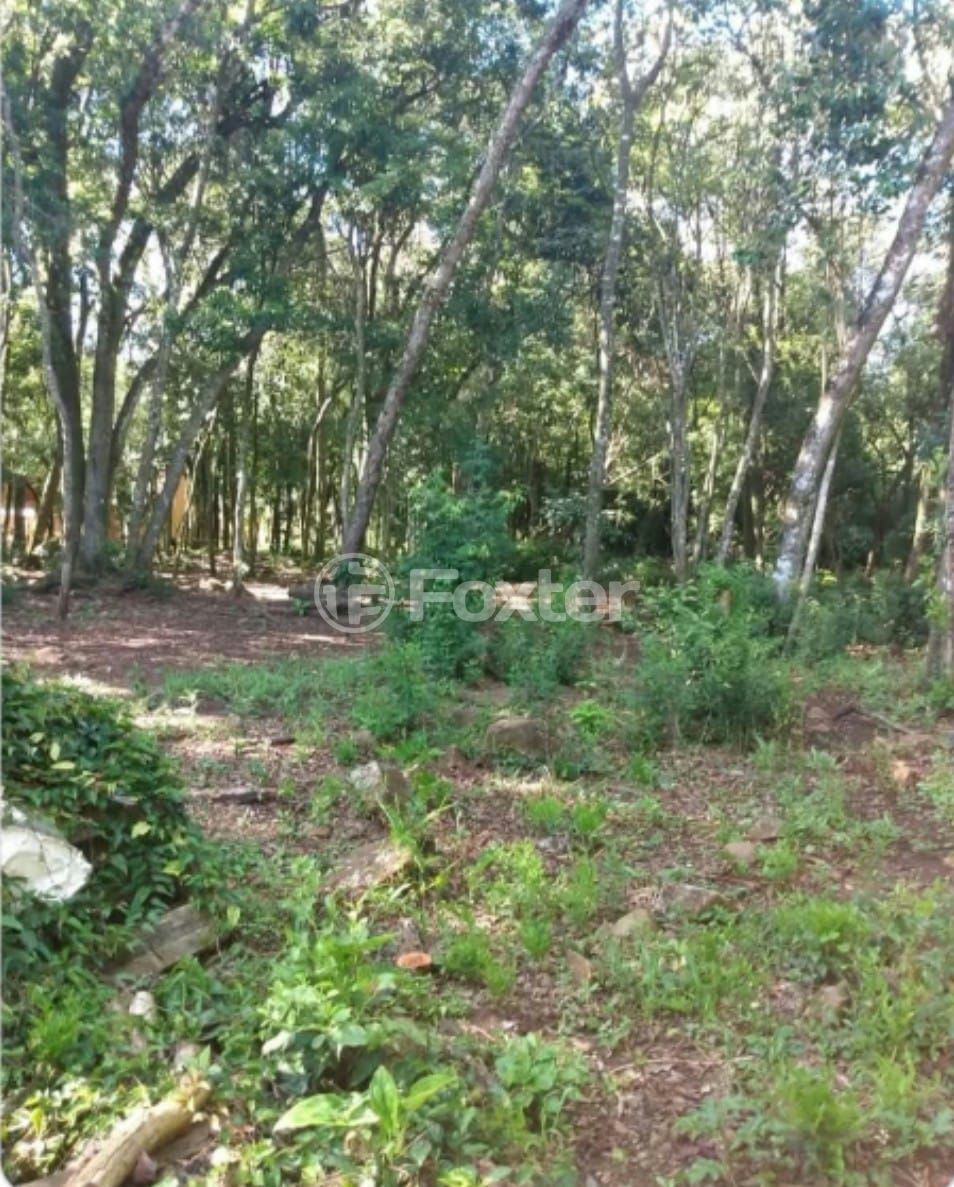 Imagem do imóvel 961821