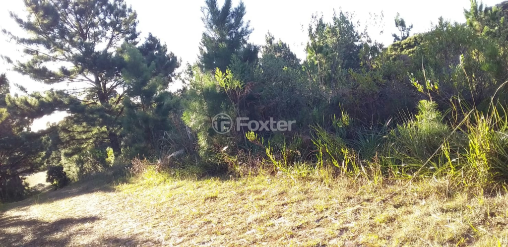Imagem do imóvel 992870