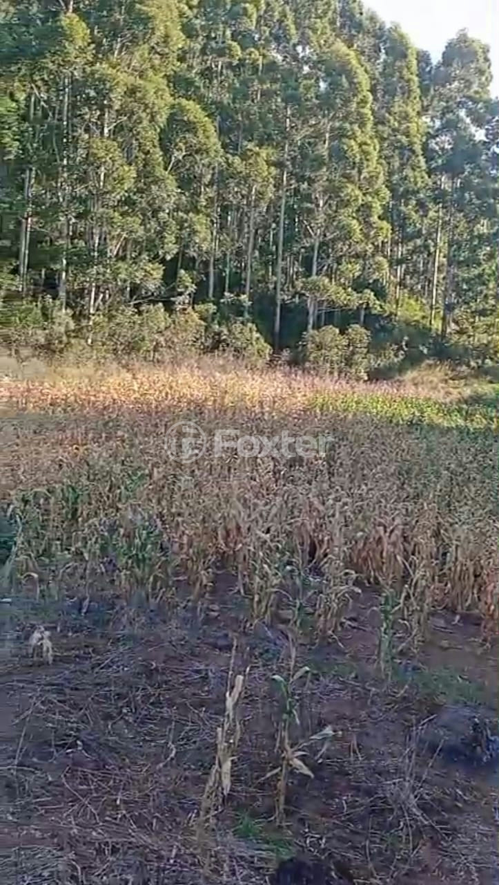 Imagem do imóvel 997423