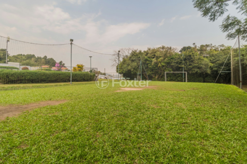Image 84 - 807595