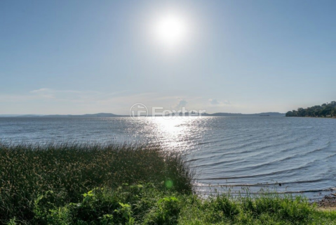 Image 69 - 1018487