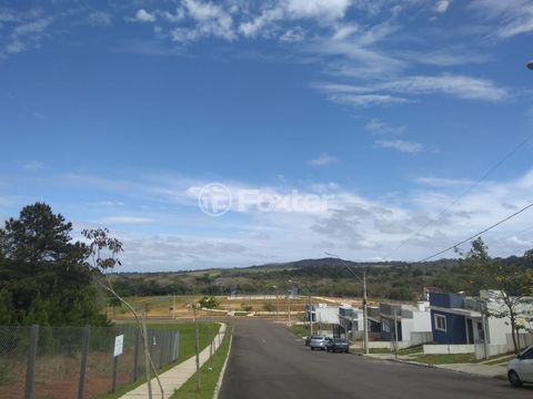 Image 14 - 1004331