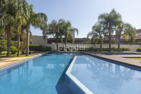 Image 41 - 1015852