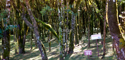 Image 10 - 1015895