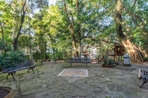 Image 60 - 304355
