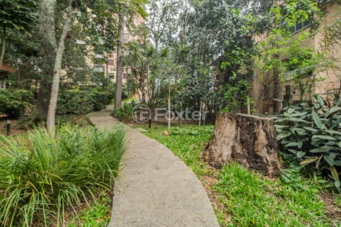 Image 42 - 304355
