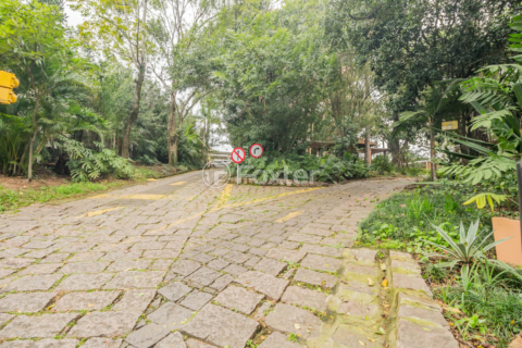 Image 44 - 304355