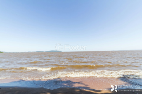 Image 31 - 992906