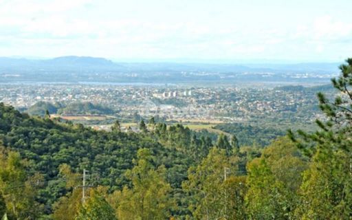 Image 12 - 253016