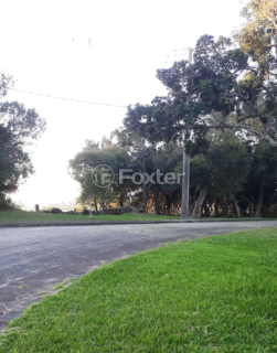 Image 26 - 1017096