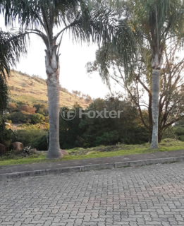 Image 30 - 1017096