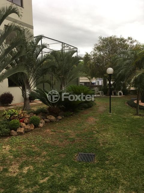 Image 53 - 1038686
