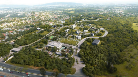 Image 7 - 202916