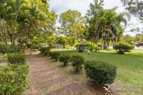 Image 65 - 880216