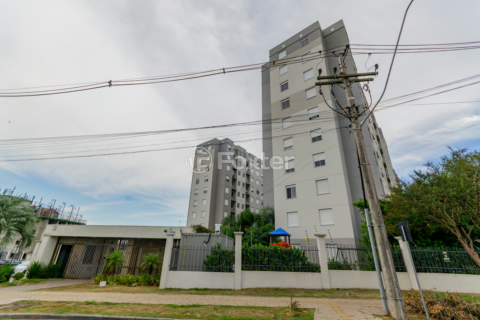 Image 31 - 250750