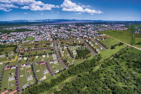 Image 9 - 223736