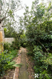 Image 43 - 897944