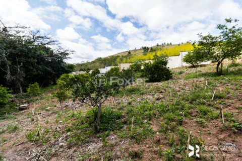 Image 42 - 897944