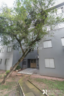 Image 31 - 973435