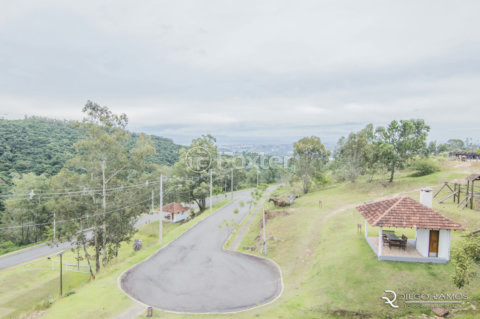 Image 79 - 995663