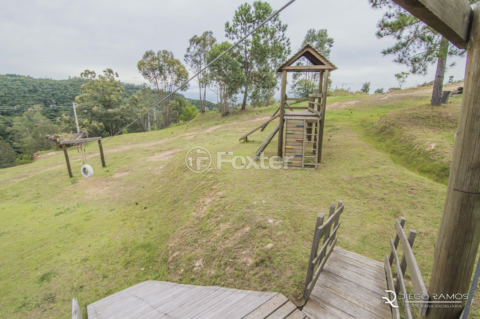 Image 85 - 995663