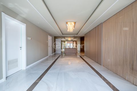 Image 29 - 219899