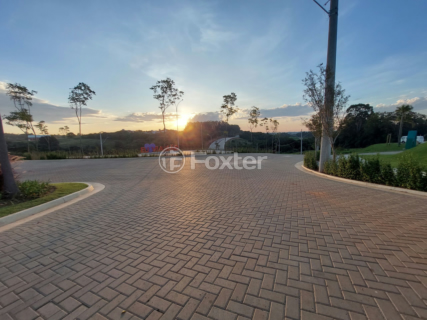 Image 8 - 558149