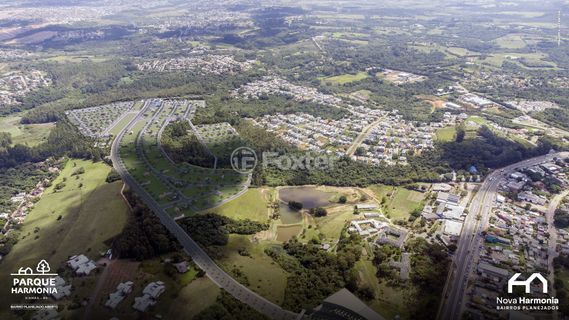 Image 17 - 558149