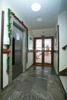 Image 42 - 1038483