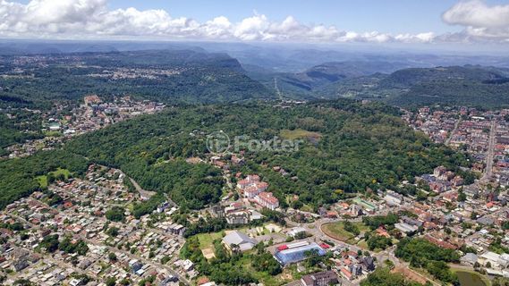 Image 8 - 973916