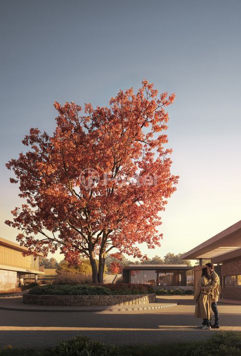 Image 12 - 953000