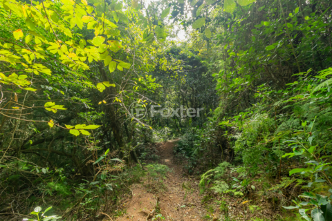 Image 60 - 251628