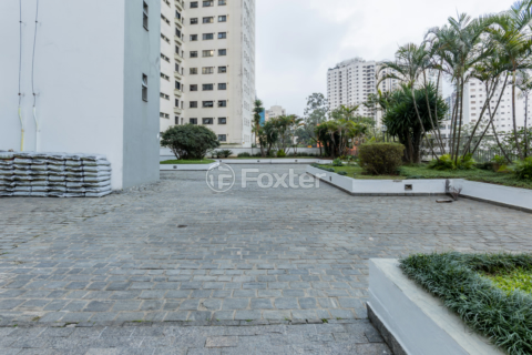 Image 34 - 313461