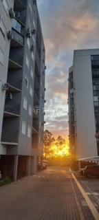Image 7 - 245220