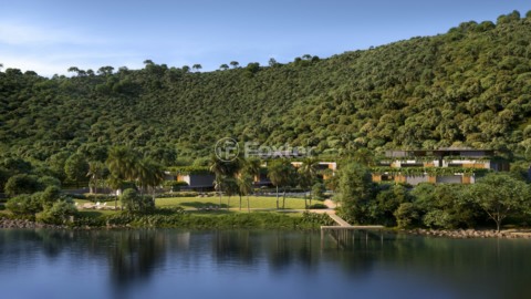 Image 14 - 1013041