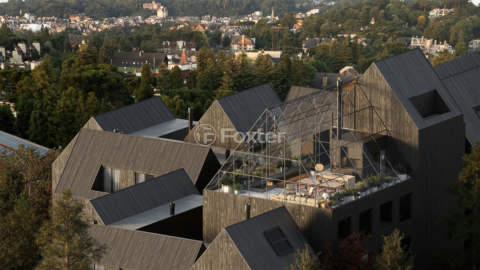 Image 9 - 1008353