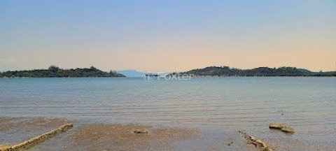 Image 16 - 1013935