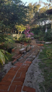 Image 35 - 1009967