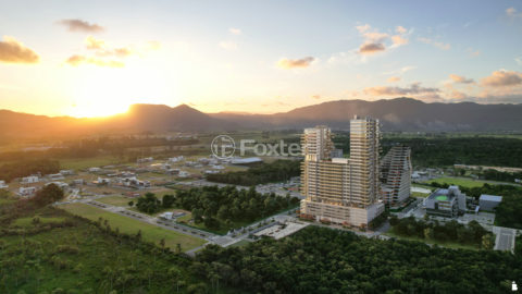 Image 49 - 1012541
