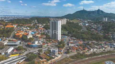 Image 7 - 1041598