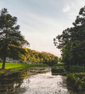 Image 10 - 1014190