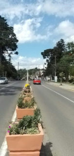 Image 1 - 556596