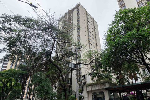 Image 24 - 990573