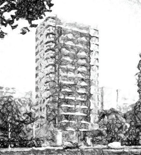 Image 80 - 1035701