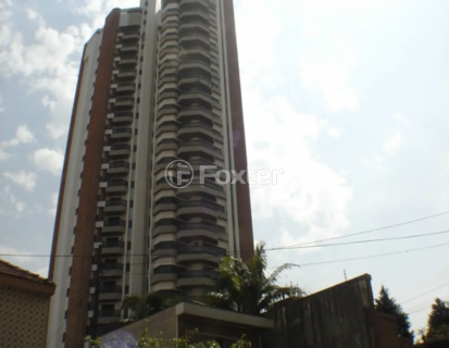 Image 35 - 919503