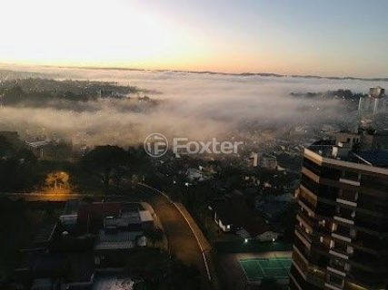 Image 43 - 245478