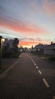 Image 10 - 867999